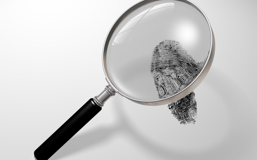 How FDLE Background Checks Work: A Step-by-Step Guide