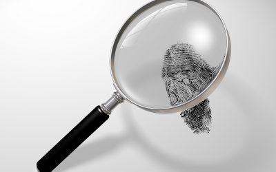 How FDLE Background Checks Work: A Step-by-Step Guide